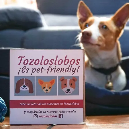 Tozoloslobos Otero de Bodos